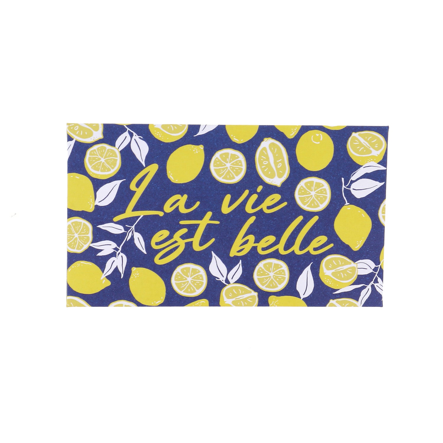 Book of 40 needles - Dolce Vita Collection