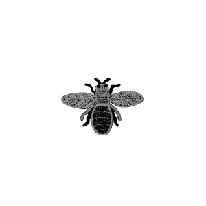 Écussons thermocollants - Insectes