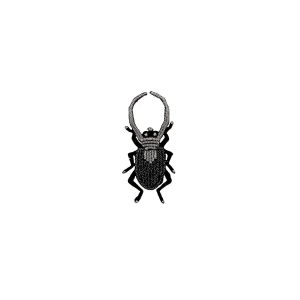 Écussons thermocollants - Insectes
