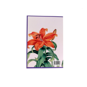 CARNET A5 "DIY NOTE BOOK" - Botanique
