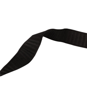 Elastic ribbon